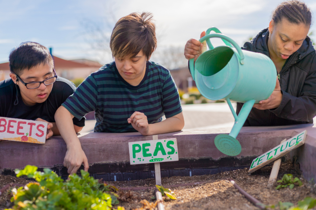 Community gardening